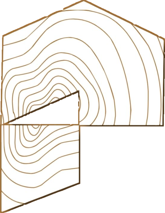 Push Line Designs mark